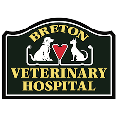 Breton Vet