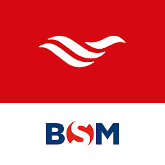 BSM LiveFleet