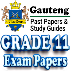 Grade 11 Gauteng Past Papers