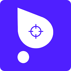 Pointograph