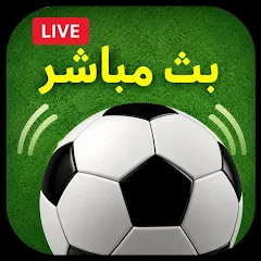 YSN بث مباشر